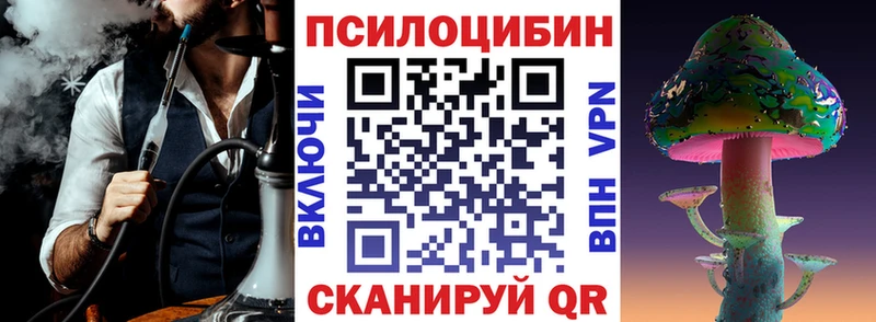 Купить  Красновишерск  Псилоцибиновые грибы Psilocybine cubensis 